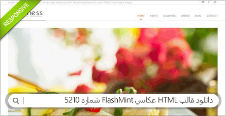 دانلود قالب HTML عکاسی FlashMint شماره 5210